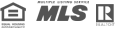 mls logo